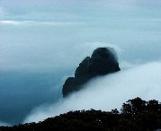 金秀后天天气